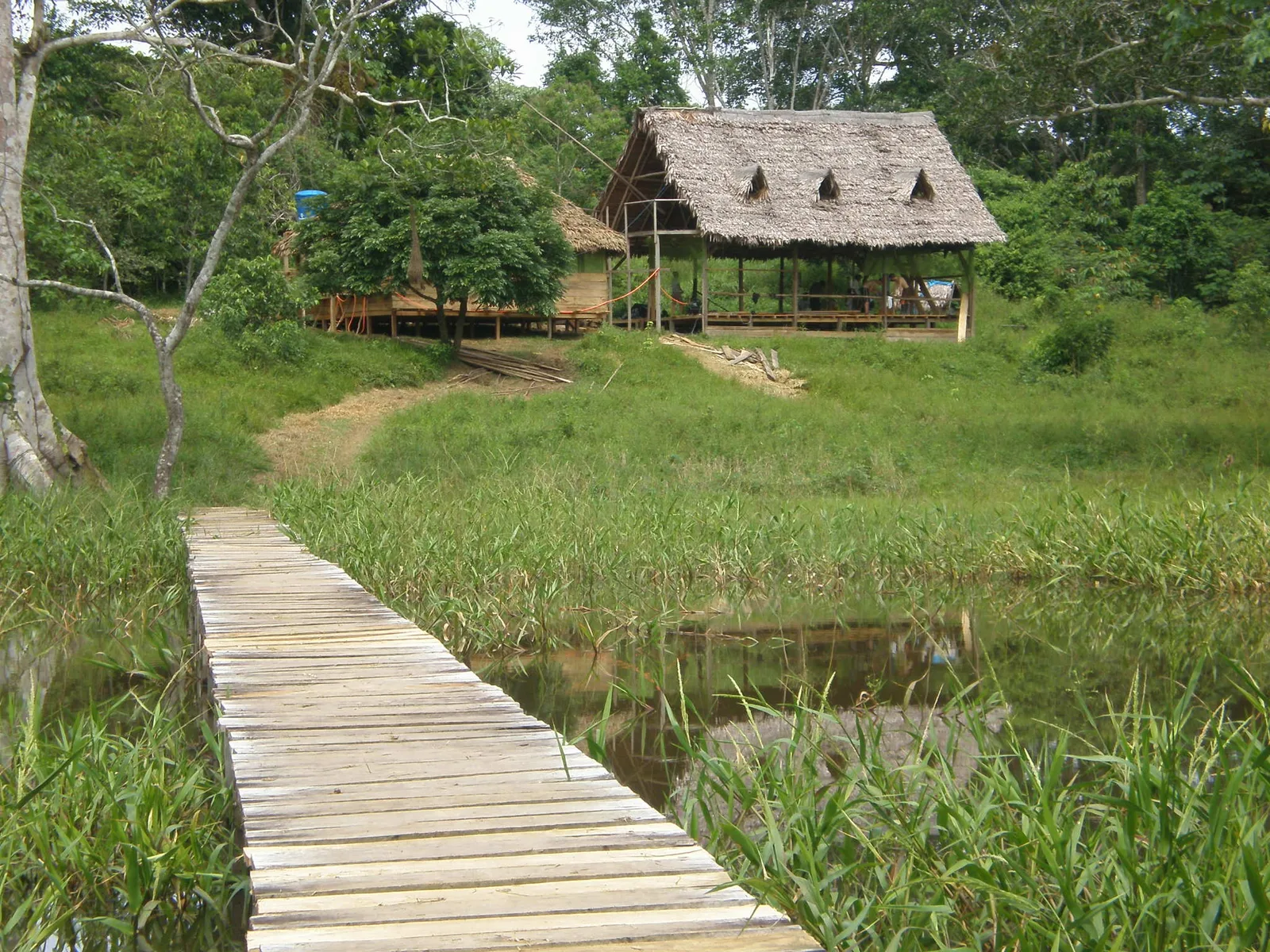 A camp under construction in the Amazon rainforest